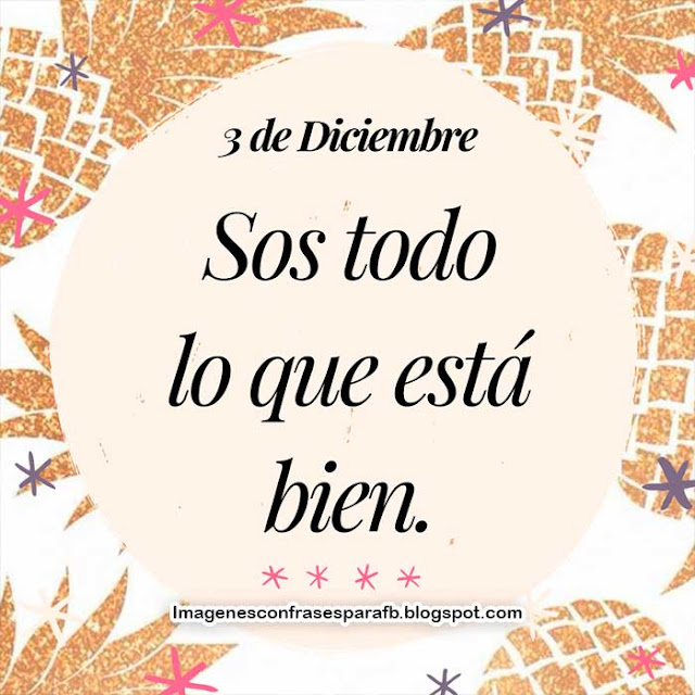 Frase del día 3 de Diciembre 