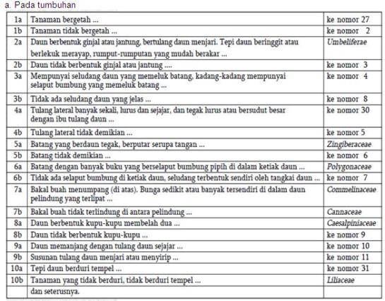 rendialdianx2 BIOLOGI Kunci  Determinasi 