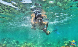 aktivitas snorkeling underwater pulau harapan