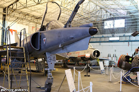 Dassault Etendard IV M