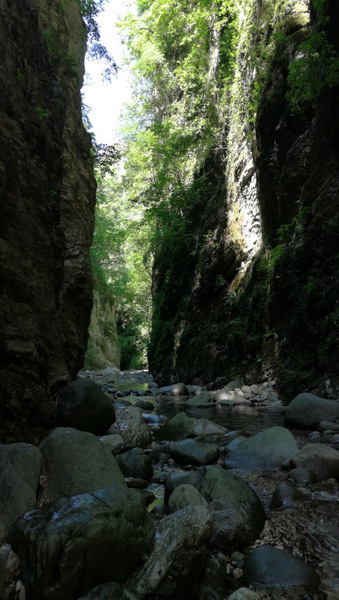 BAGNI DI LUCCA (LU)