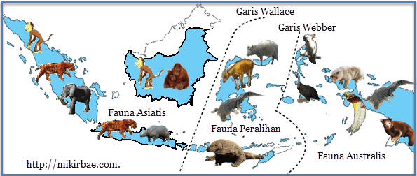 Keragaman Flora  dan  Fauna  di Indonesia Mikirbae com