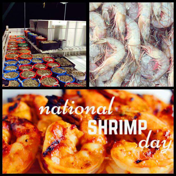 National Shrimp Day Wishes for Whatsapp