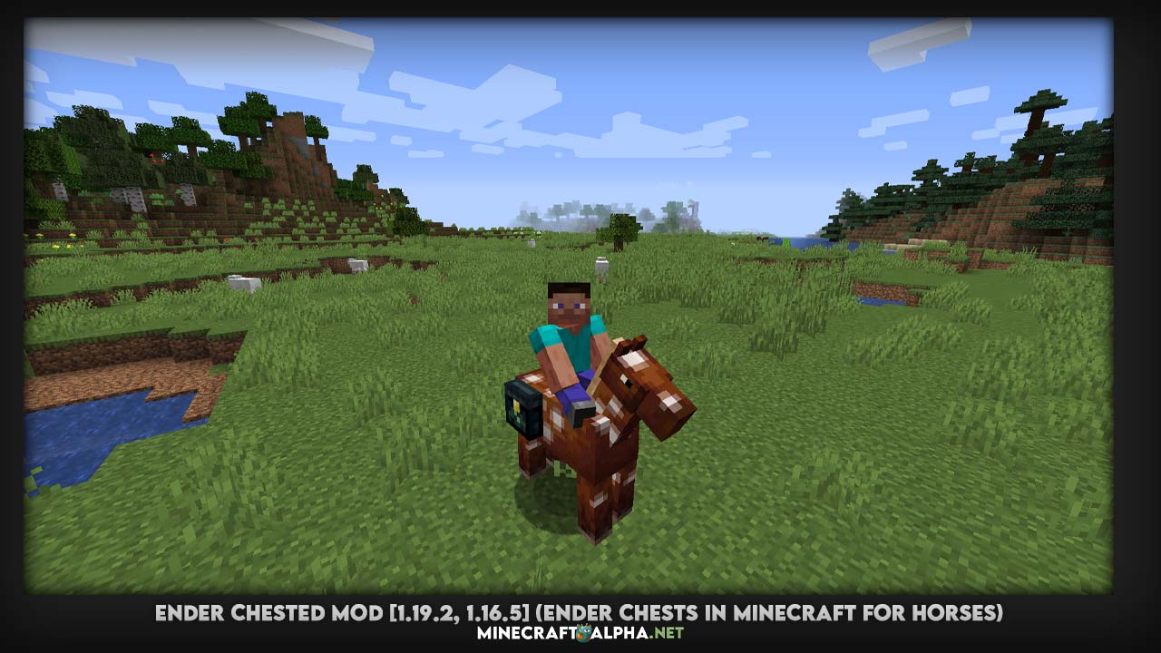 Ender Chested Mod [1.19.2, 1.16.5] (Ender Chests in Minecraft for Horses)
