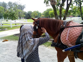 Tunggang kuda horse riding RM1 di Kuala Lumpur