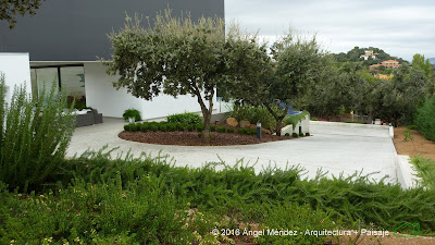 Arquitecto paisajista en Badajoz, Ángel Méndez