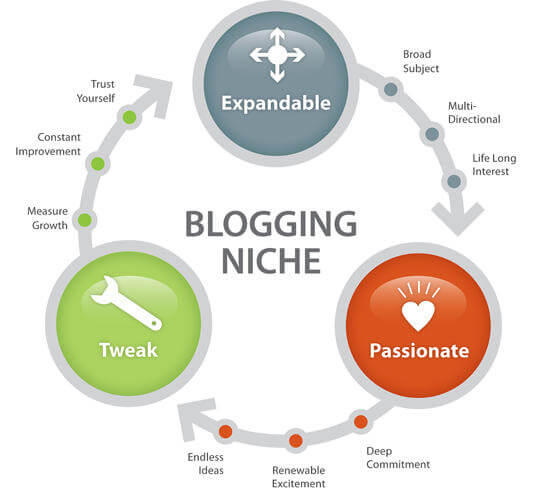 Blogging Niche