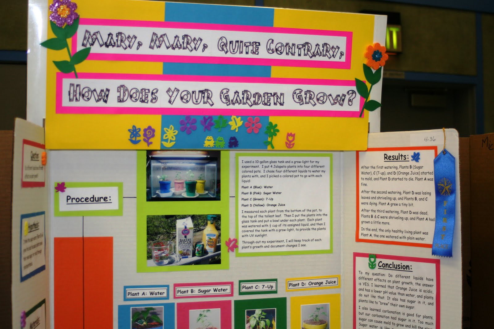 4th Grade Science Fair Project Boards