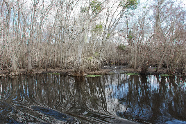 Blue Spring State Park