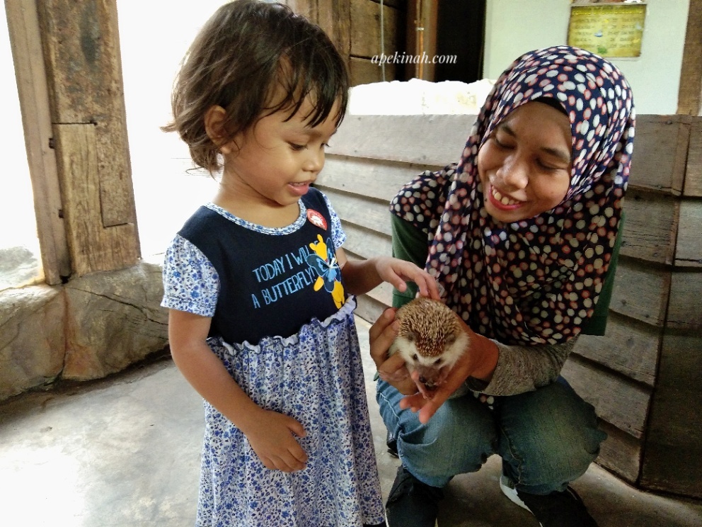 Farm In The City Di Seri Kembangan