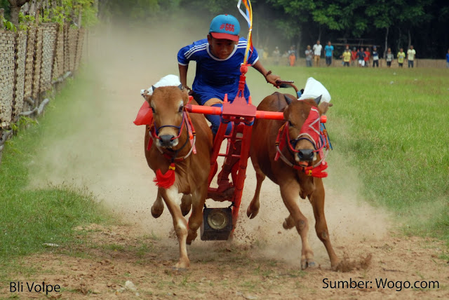 Inilah 10 Olahraga Tradisional Asli Indonesia 