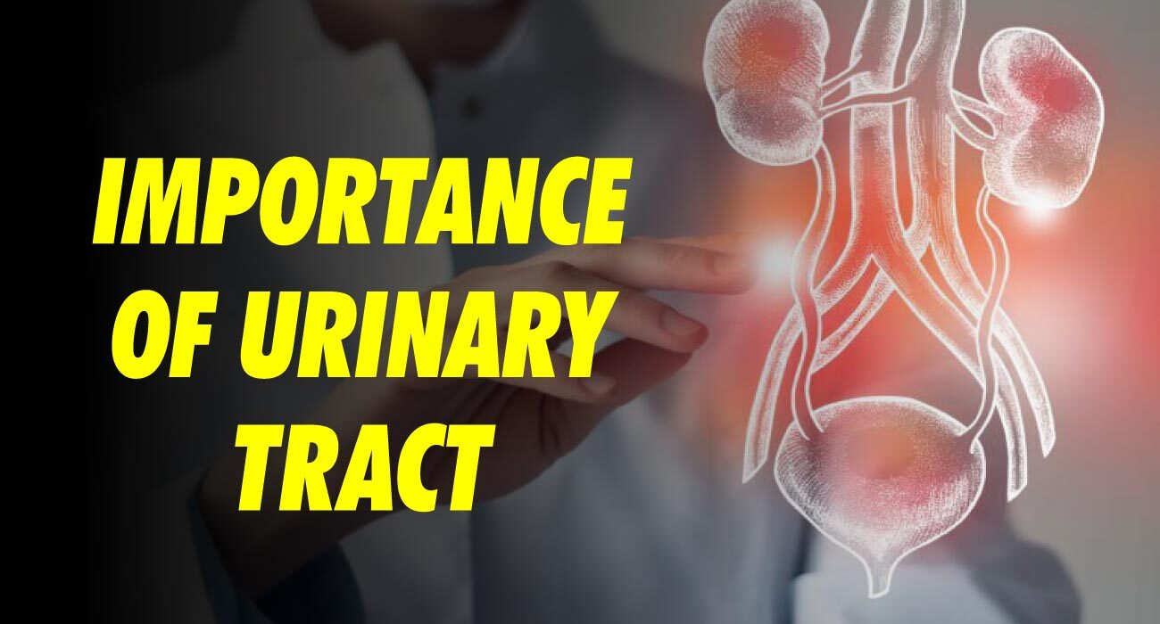 Importance of Urinary Tract