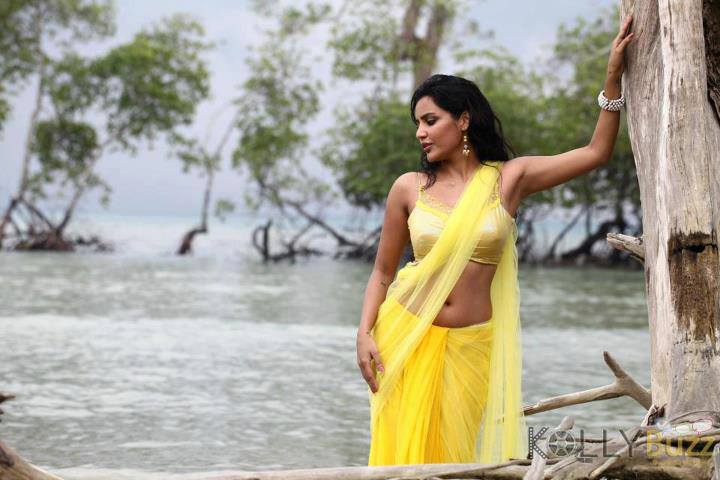 Priya Anand Hot Sexy Saree Blouse Navel Upskirt Tight Dress Bikini Bra Hot Sexy Actress Model Images Pics Hd Wallpaper Sms Message Whatsapp Status