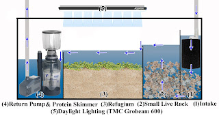 Marine Aquarium Sump with Sponge