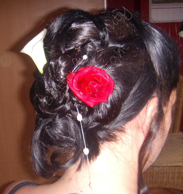 coiffure mariage 54