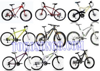 Sepeda Gunung Polygon, Sepeda Gunung United, Sepeda Gunung Giant, Sepeda Gunung Morelli, Sepeda Gunung Reebok, Element