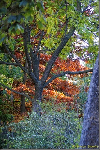 8_DSC8667X1