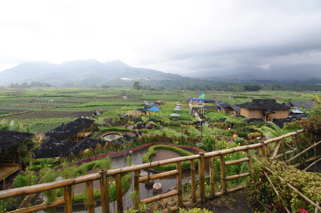 Villages in Indonesia that Offer Beauty