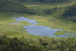 Makamo, Danau Mirip Pulau Papua yang Tersembunyi di Dogiyai