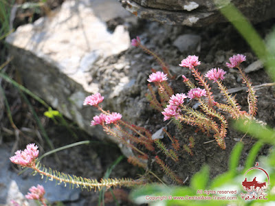 Adventure trekking tour to Western Tian-Shan Mountains "Trekking to lake Sary-Chelek"