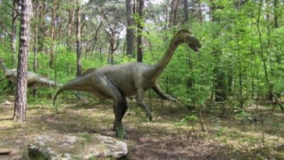 Dinosaur Park Poland Cool Images & Videos