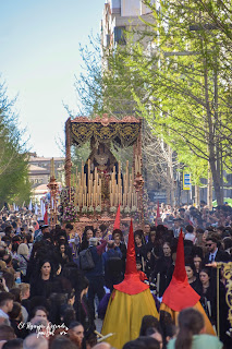 Gitanos Granada