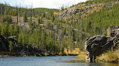 Yellowstone