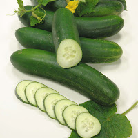 Cucumber Fruit