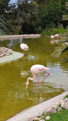 Badoca Safari Park