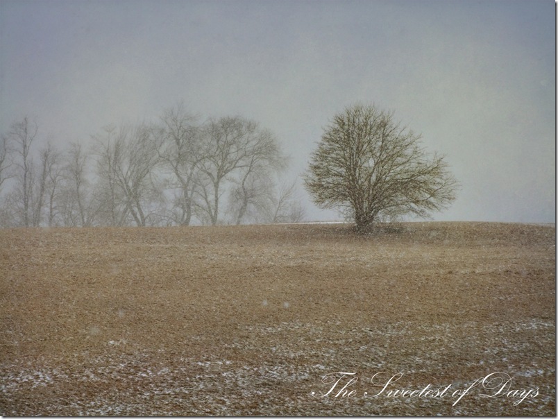 Soft snow