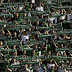 COLOMBIANOS LOTAM ESTÁDIO EM MEDELLIM, E COM GRITOS DE "CAMPEÃO"  FAZ HOMENAGEM Á CHAPECOENSE 