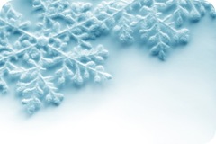 iStock_000004825825XSmall[1]