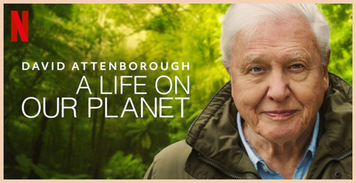 David Attenborough: A Life On Our Planet