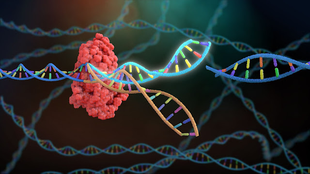 DNA sequencing market