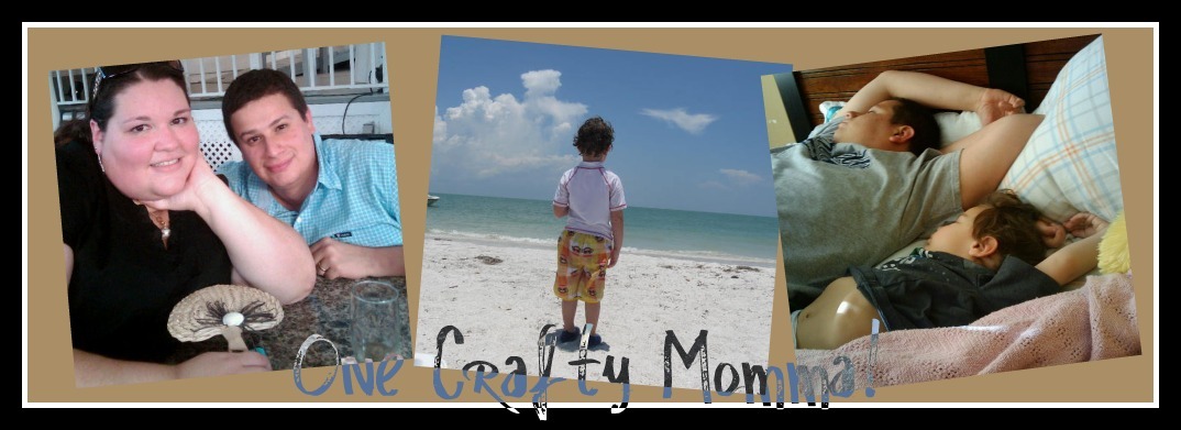 One Crafty Momma!