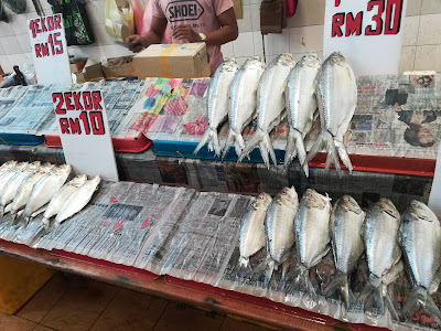 Ikan,Terubok,Masin,Sarawak,pasar Satok,dimana nak beli ikan terubok masin