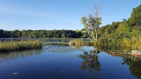 on the northern pond at DelCarte