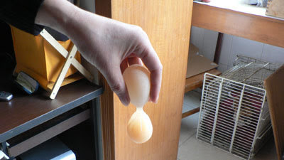 Unbelievable Eight-Shaped Egg In China