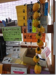 DSC04012