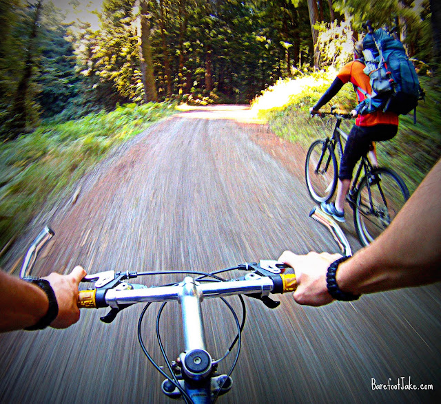 Olympic National Park bike