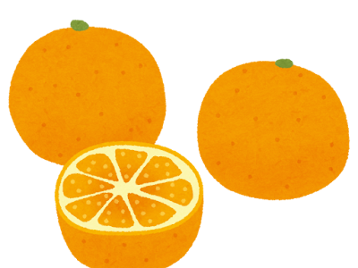 [最も人気のある！] 柑橘 イラスト 938407-柑橘 いらすとや