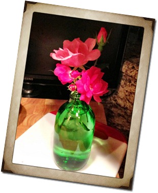 Photo1(1)