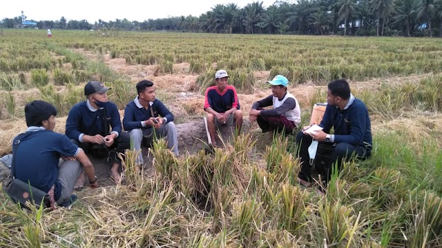 Di Rawang, Mahasiswa KKN UNA Mulai Tanam Semangka