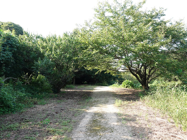 伯耆古代の丘公園