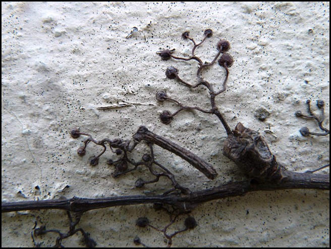 P1220581