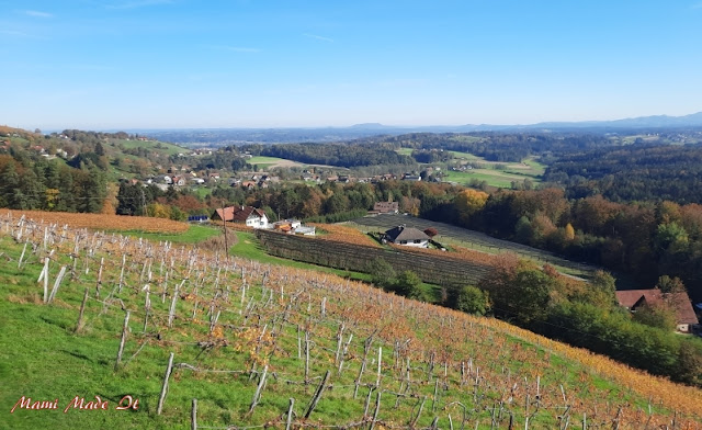 Schilcherland Steiermark - Schilcher Wine Route Styria