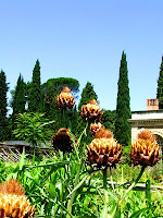 Montpellier : jardin botanique