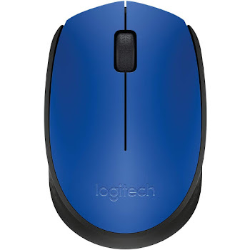 Logitech M171