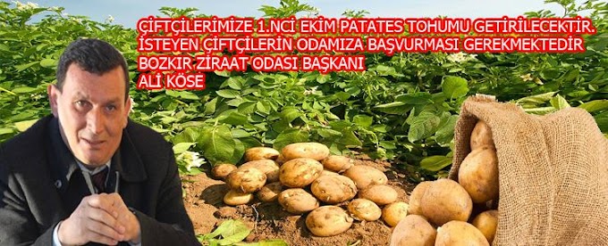 Bozkır Ziraat Odası Bozkır Çiftçilerine 2 Çeşit 1 Ekim Sertifikalı Patates Tohum Getirecek