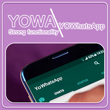 What is the YoWA？